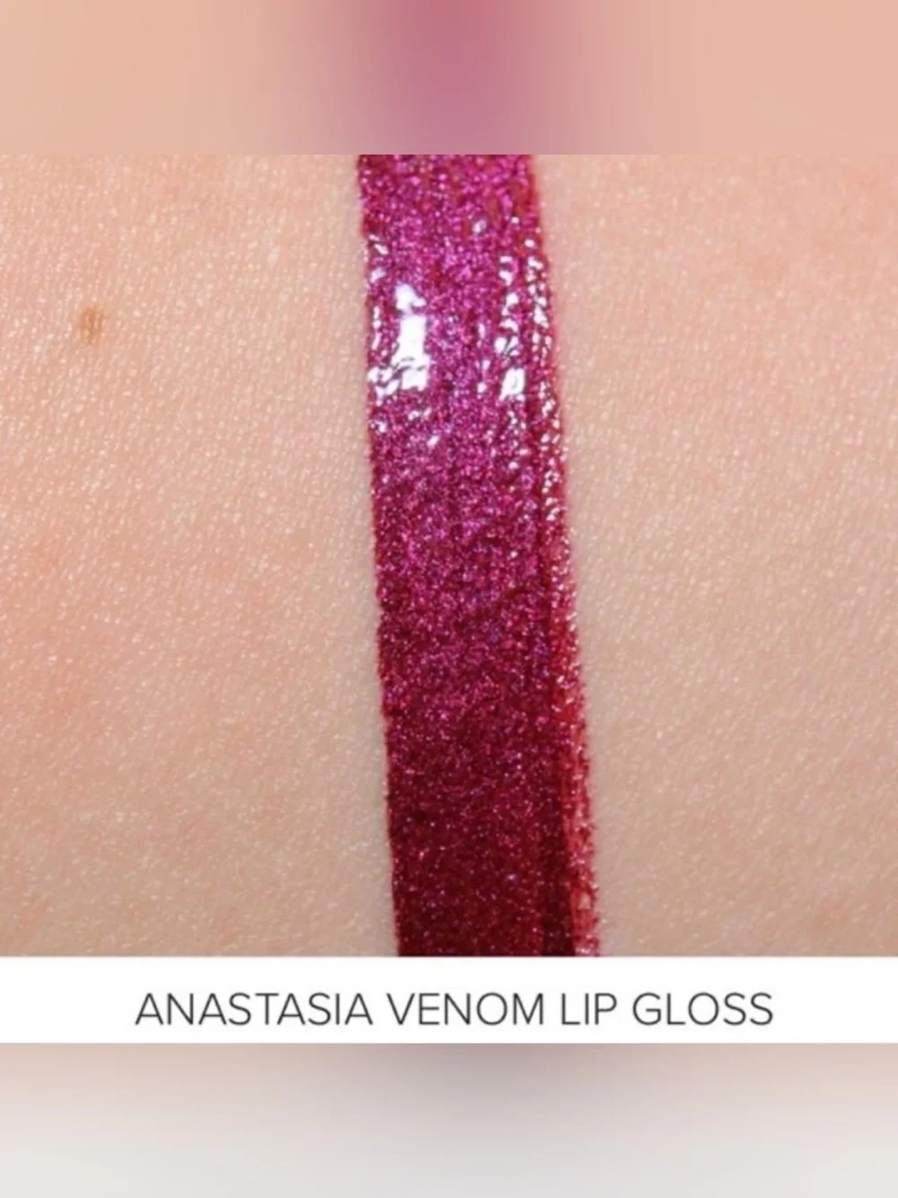 2 Anastasia Beverly Hills Bundle Lipglosses in Socialite and Venom & a lip case